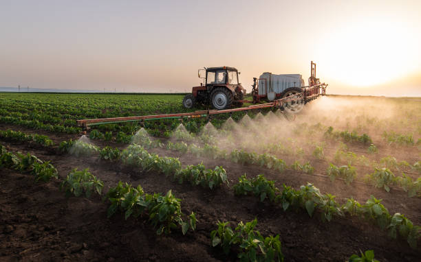 Best Insect Control  in Holstein, IA