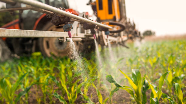 Best Insect Control  in Holstein, IA
